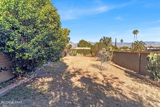 view of yard featuring a mountain view