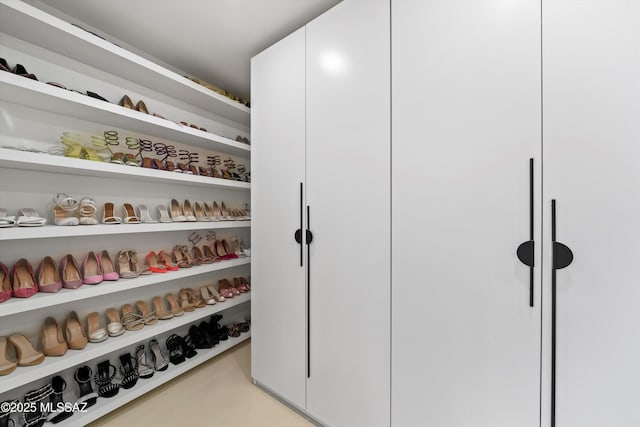 view of closet