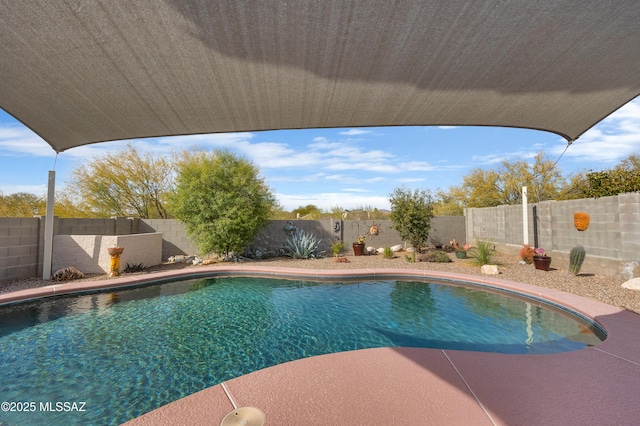 view of swimming pool