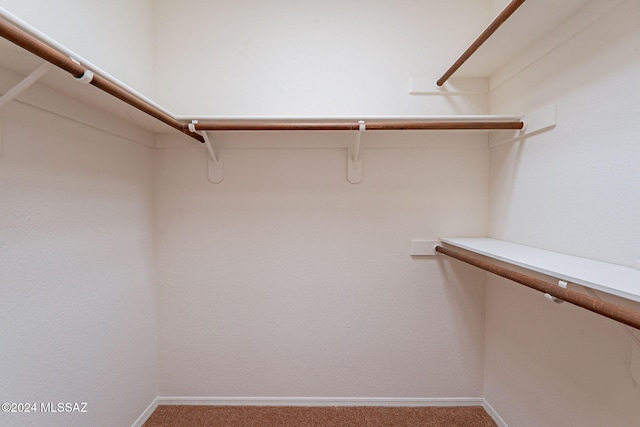 walk in closet with carpet