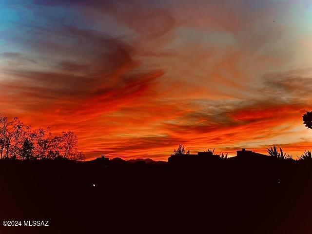 view of nature at dusk