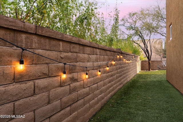 view of yard at dusk