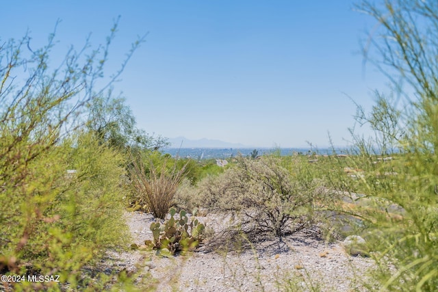 view of local wilderness with a mountain view