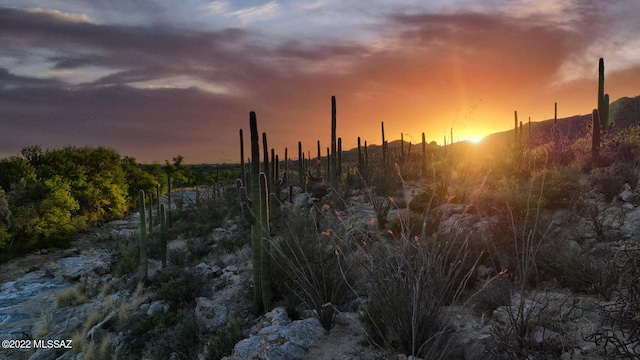 14770 E Redington Rd, Tucson AZ, 85749 land for sale