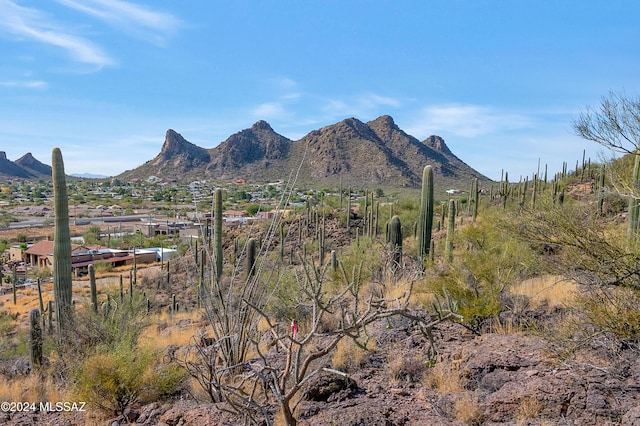 4896 S Cactus Wren Ave, Tucson, AZ 85746