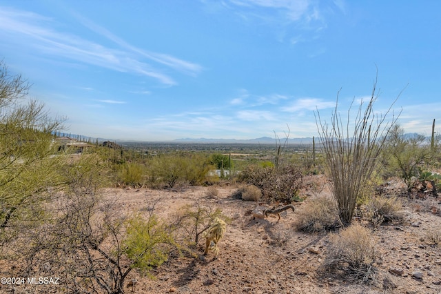 4896 S Cactus Wren Ave, Tucson, AZ 85746