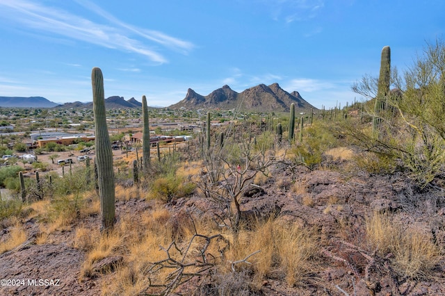 4896 S Cactus Wren Ave, Tucson, AZ 85746