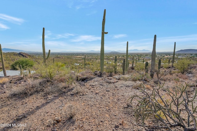 4896 S Cactus Wren Ave, Tucson, AZ 85746