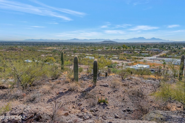 4896 S Cactus Wren Ave, Tucson, AZ 85746