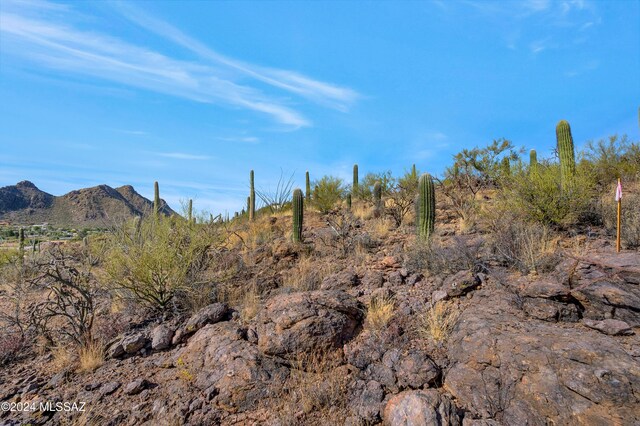 4896 S Cactus Wren Ave, Tucson, AZ 85746