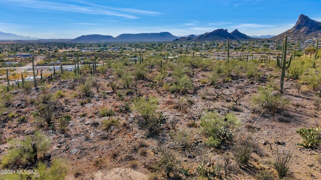4896 S Cactus Wren Ave, Tucson, AZ 85746