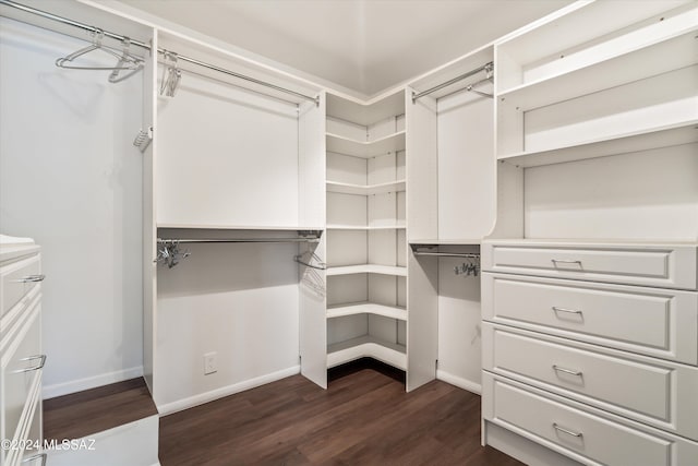 spacious closet featuring dark hardwood / wood-style floors