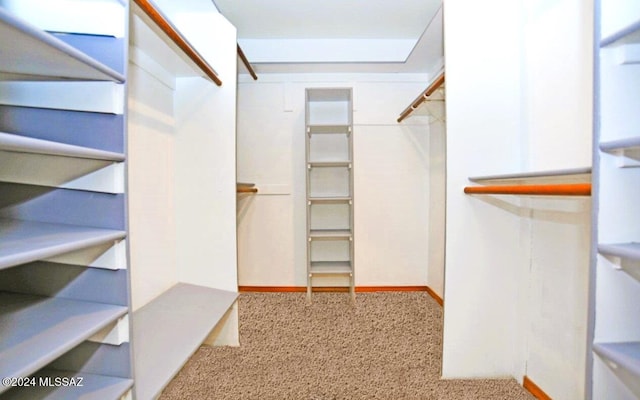 walk in closet with light colored carpet