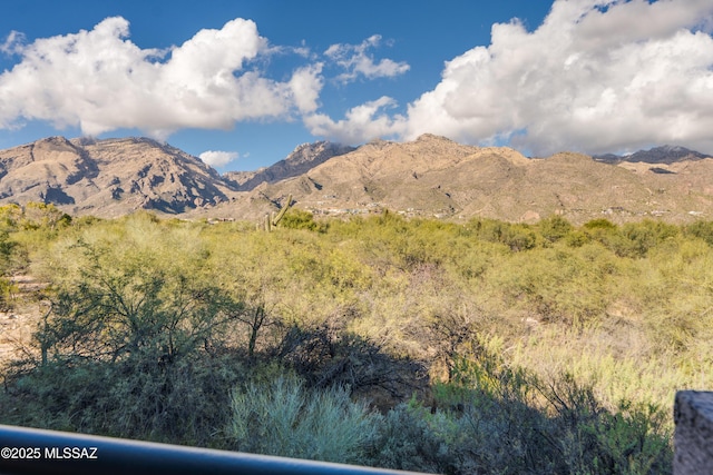 view of mountain feature