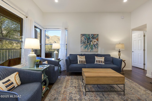 living room with dark hardwood / wood-style flooring