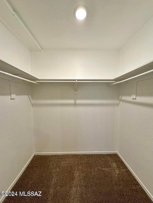 walk in closet with carpet flooring