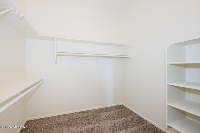 walk in closet featuring carpet flooring