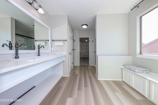 bathroom with hardwood / wood-style flooring and vanity