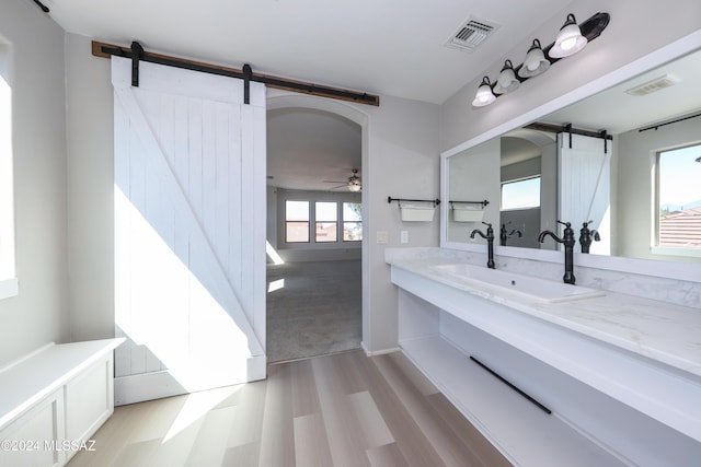 bathroom with ceiling fan, wood-type flooring, and vanity