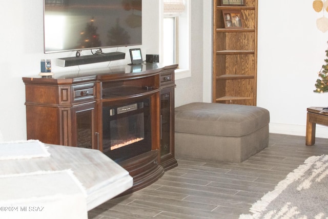 living room with dark hardwood / wood-style flooring