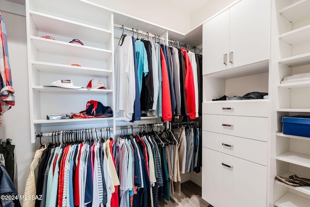 spacious closet with light wood-type flooring