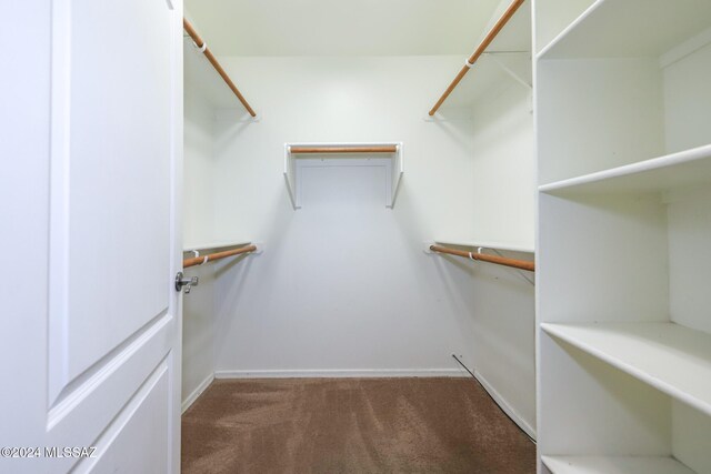 spacious closet with dark colored carpet