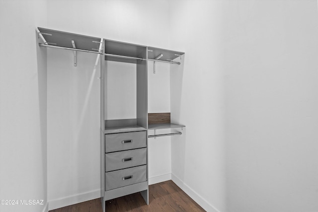 spacious closet with dark hardwood / wood-style flooring