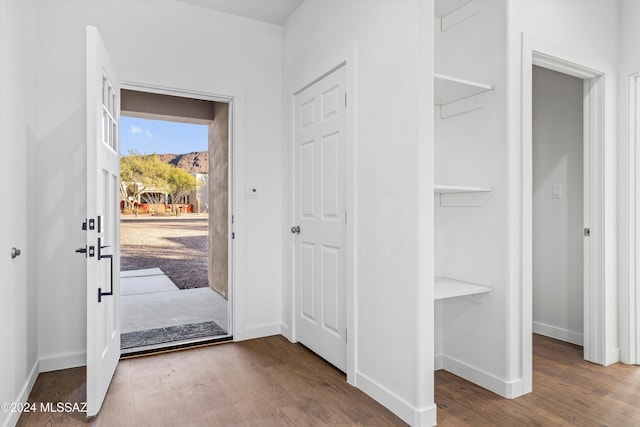 entryway featuring wood-type flooring
