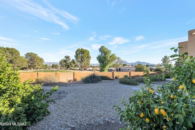 view of yard featuring a mountain view