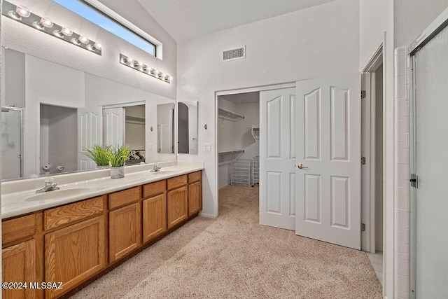 bathroom featuring vanity and an enclosed shower