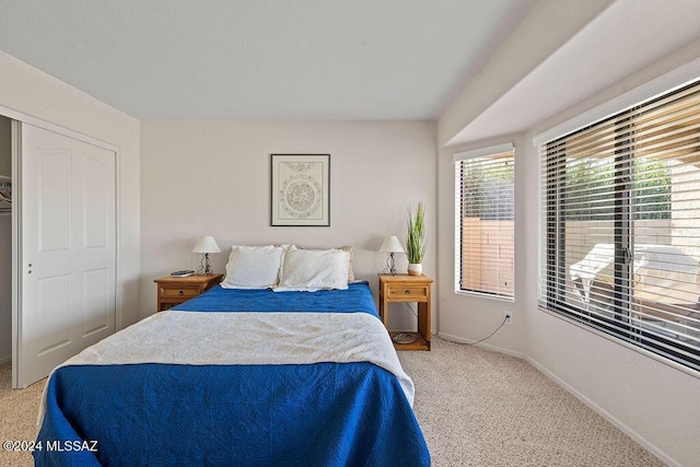 bedroom with carpet flooring and a closet