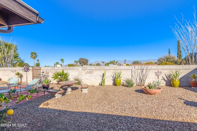 view of yard with a patio