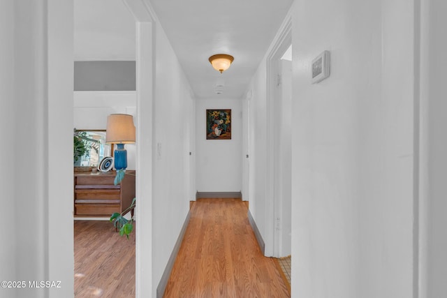 corridor with light wood-type flooring