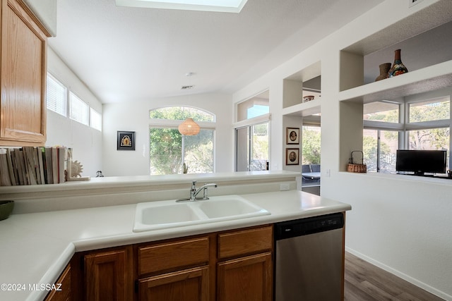 kitchen featuring dark hardwood / wood-style flooring, sink, and stainless steel dishwasher