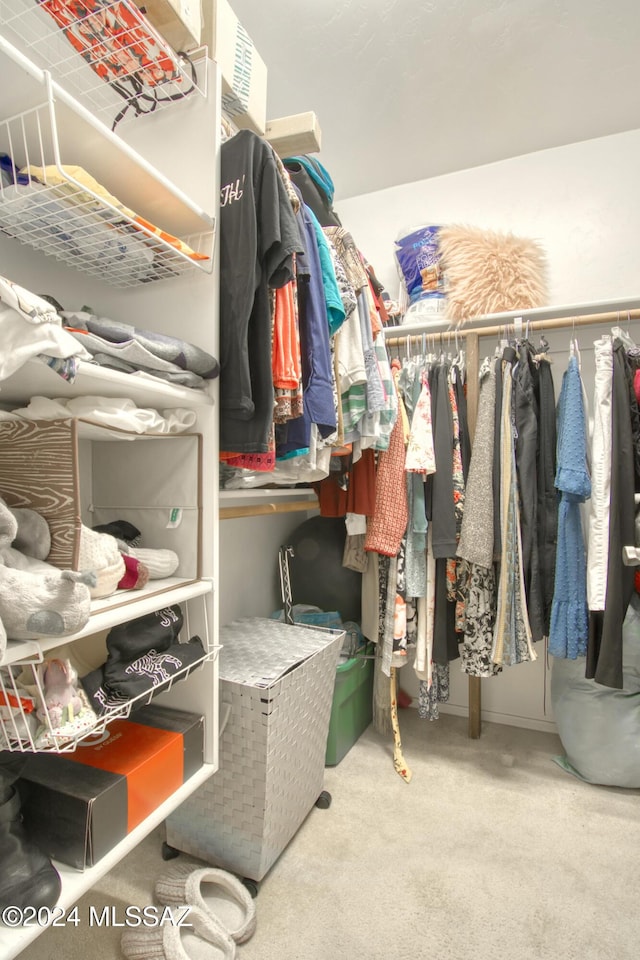 walk in closet featuring carpet flooring