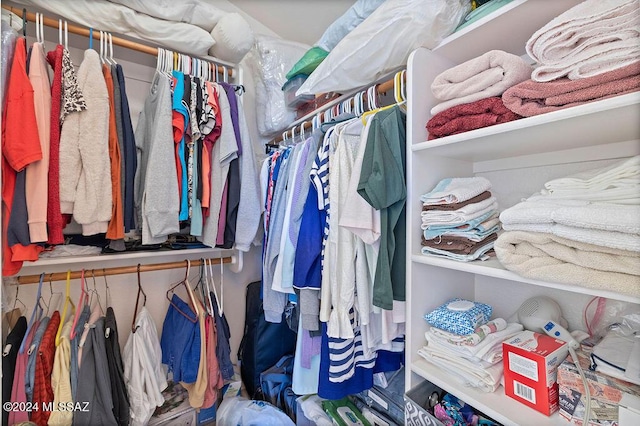 view of walk in closet