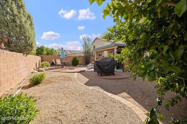 view of yard with a patio