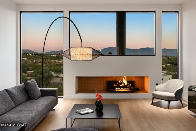 living room featuring a mountain view, a fireplace, and light wood-type flooring