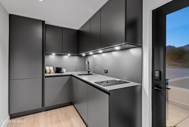 kitchen featuring black electric cooktop, sink, and light hardwood / wood-style flooring