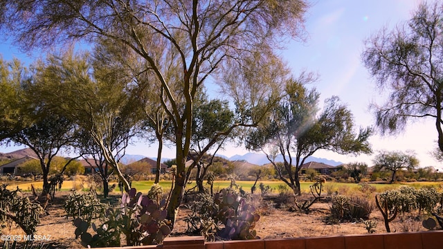 view of yard with a mountain view