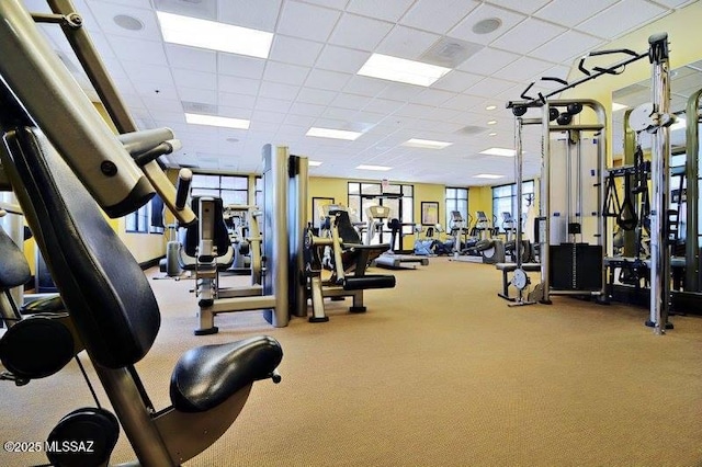 workout area with a paneled ceiling