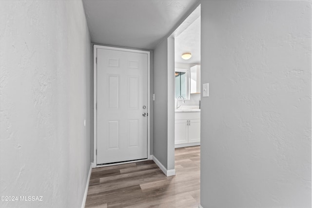 doorway to outside featuring light wood-type flooring and sink