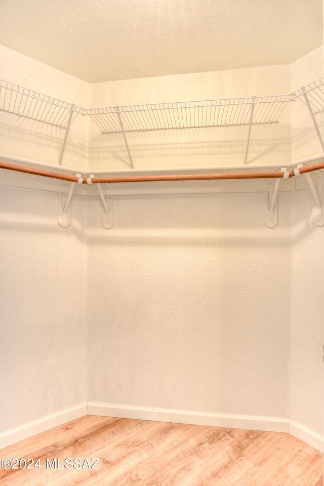 spacious closet featuring wood-type flooring