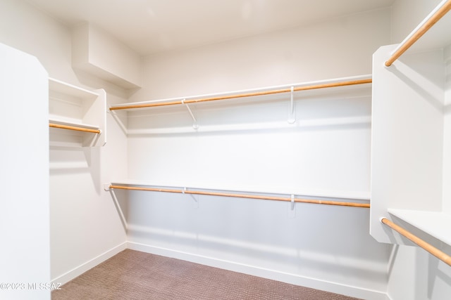 spacious closet with carpet