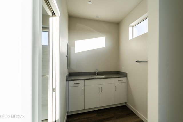 bathroom featuring hardwood / wood-style floors and vanity