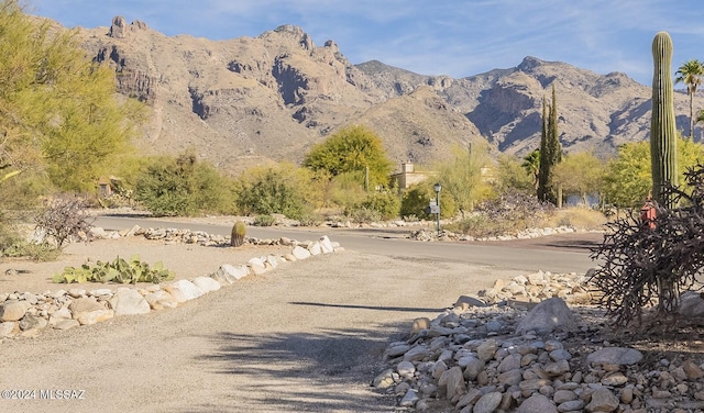 view of mountain feature