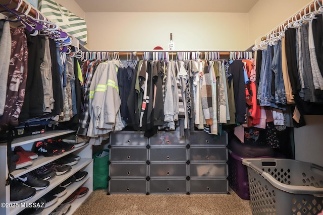 spacious closet featuring carpet