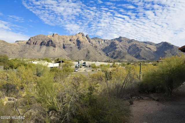 view of mountain feature