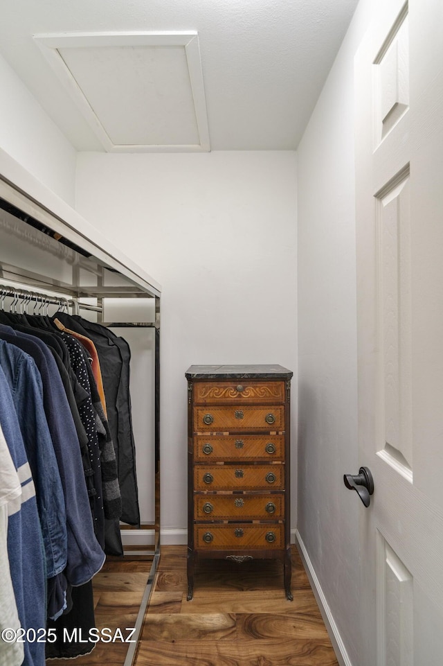 walk in closet featuring dark hardwood / wood-style flooring