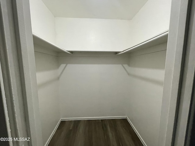 walk in closet featuring dark wood finished floors